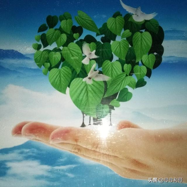 孩子不好好学习，爱玩网络游戏怎么办？孩子爱玩手机网游咋办