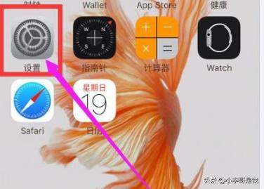 苹果手机那个圆圈怎么设置出来(图1)