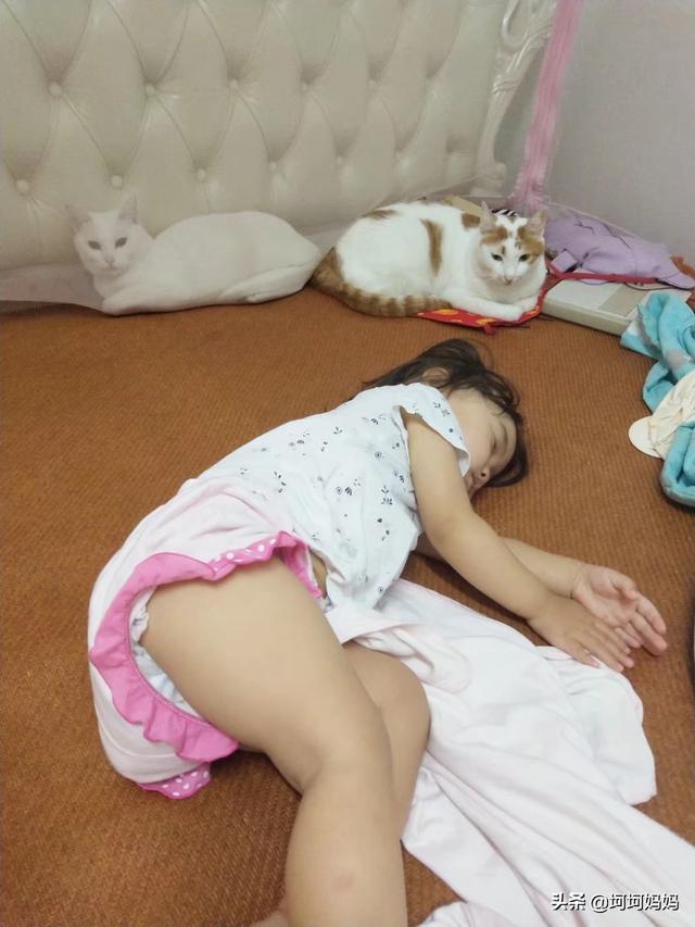 寵物與嬰兒?寵物與嬰兒故事!