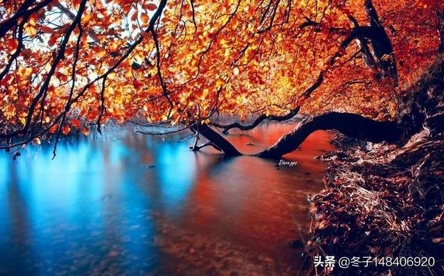 宝鸡秋天旅游景点大全， 宝鸡秋天旅游景点大全图片