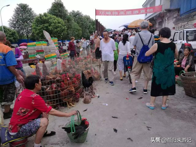 成都市周边哪些地方好耍