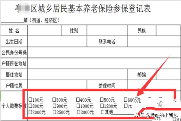 城乡居民社会基本养老保险，城乡居民社会基本养老保险查询