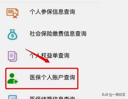 个人医疗保险查询个人账户，个人医疗保险查询个人账户缴费明细查询