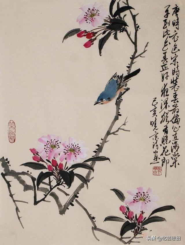 什么是造型(什么是造型基础)