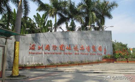 小青海外生活，小青海是什么海