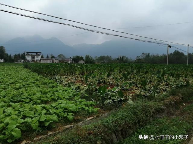 西昌阴天旅游穿搭， 西昌阴天旅游穿搭图片