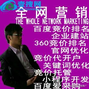 搭建网站平台推广