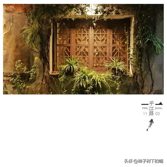 绍兴旅游穿搭旗袍， 绍兴旅游穿搭旗袍店