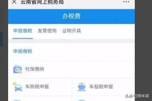 深入了解云南地方税务局的组织结构与职能，深入了解云南地方税务局的组织结构与职能管理