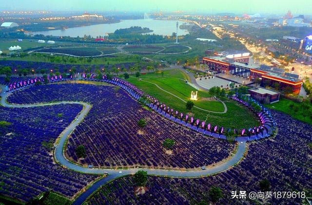 武汉市寻梦园在哪个区