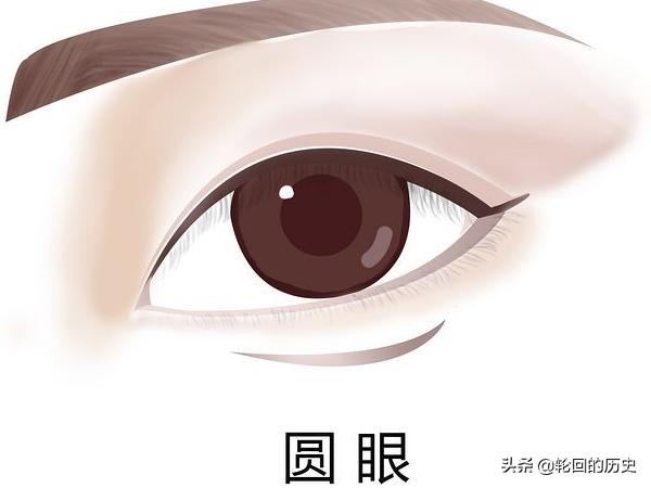 [眼神图片]眼睛类型及图片及解说，常见眼型？