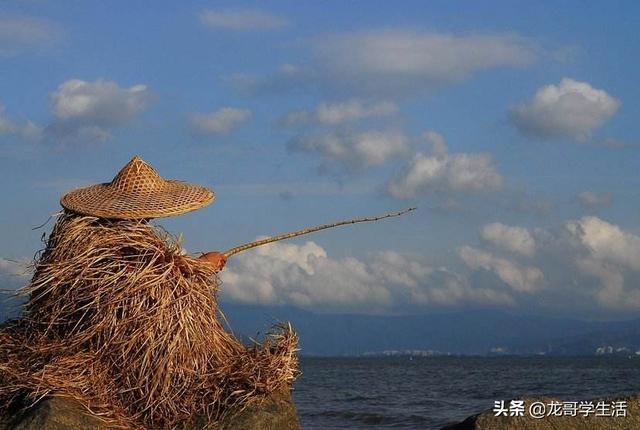 深圳哪里能钓鱼？