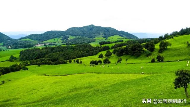 云南草原攻略旅游路线， 云南草原攻略旅游路线图