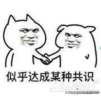 美女导师爱上我（美女导师爱上我小说）