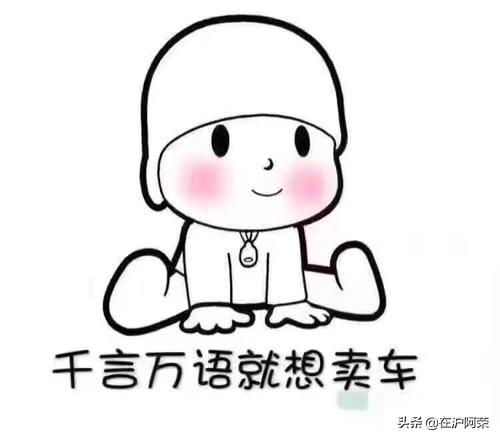 上海的车上都有哪些