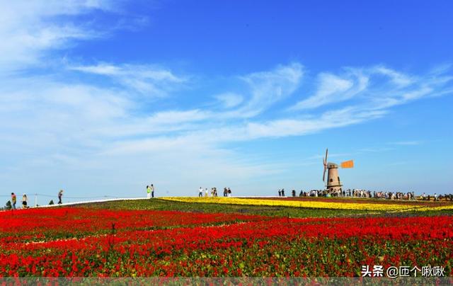 合肥有哪些免费的景点推荐？