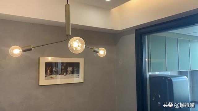 黑胡桃色家具如何 搭配(图7)