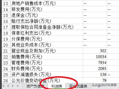 财务报表利润表分析，财务报表利润表分析模板