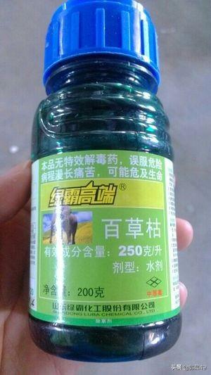 苗圃除草用什么农药