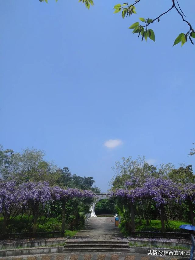 女人叫我哥哥什么意思(图3)