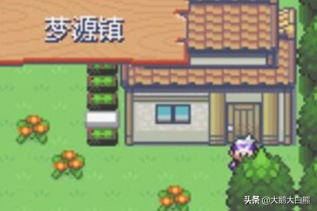 口袋妖怪三周目攻略 口袋妖怪三周目攻略漆黑的魅影  第5张