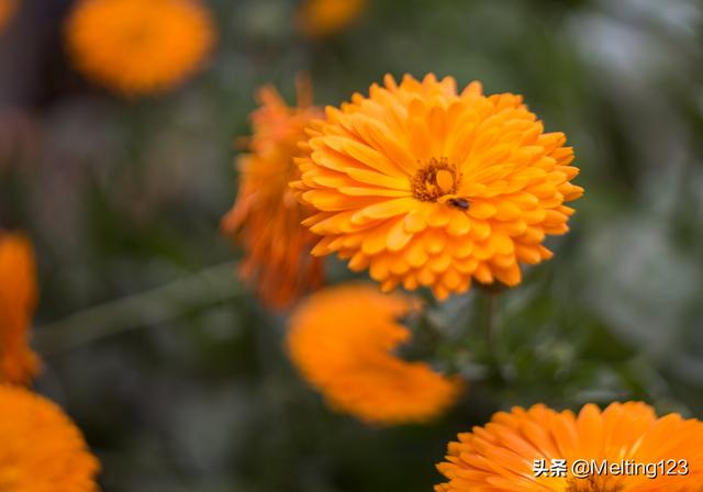 形容女人健康美丽依旧的诗句_虽不舍得但祝福你前程似锦的诗句