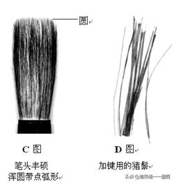 字体手写正楷书法