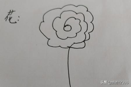 花卉筒笔画?简笔画,花卉!