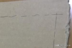 纸箱狗颜色如何搭配好看(图5)