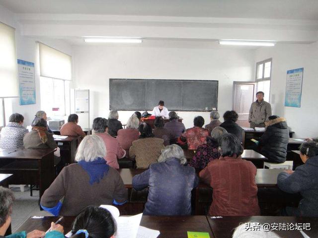 小楊的海外生活，小杨的海外生活视频
