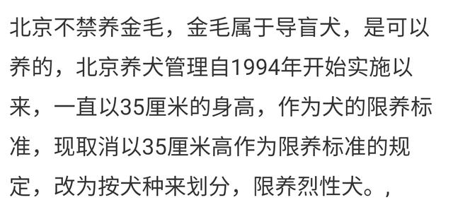 北京金毛价格?北京金毛价格多少钱!