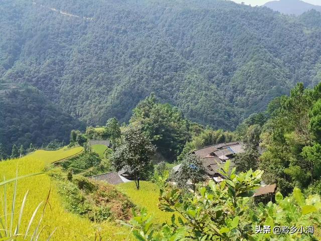 花卉景观设计平面图-花卉景观设计平面图手绘