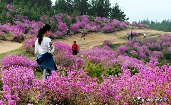 [黑龙江双鸭山天气]2022年黑龙江常年积温多少度？