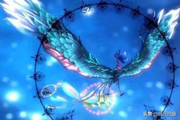 火焰领主武魂如何搭配技能