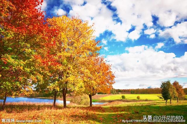 秋季运动会说说心情的句子,形容秋天的心情的句子