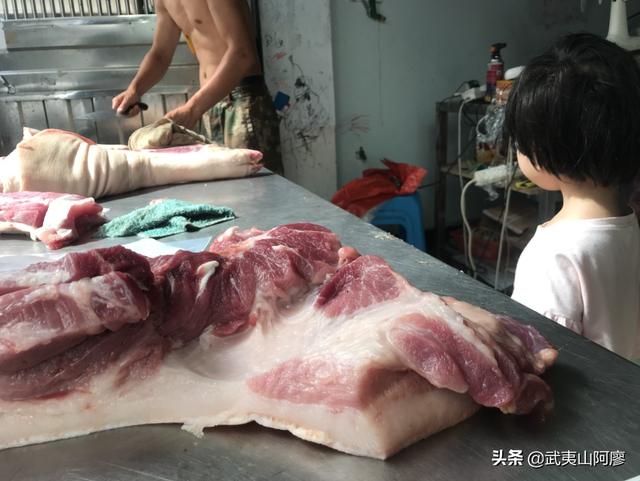 猪饲料热量高-猪饲料热量高吗