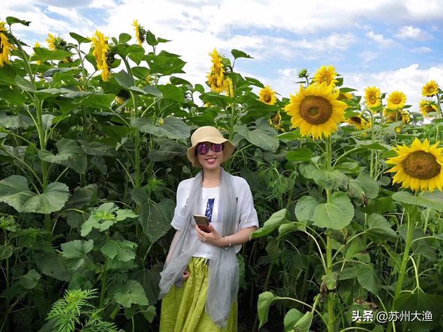 服装搭配如何拍摄好看点(图2)