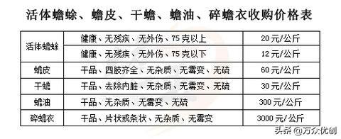 冷门暴利养殖业有哪些_冷门暴利养殖业有哪些行业