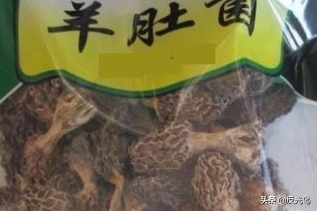 新鲜羊肚菌怎么保存(图5)