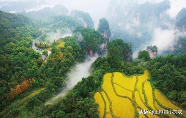 张家界的风景在我国哪里