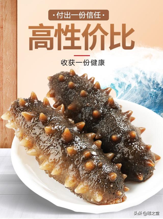 海参有什么特点和功效(图14)