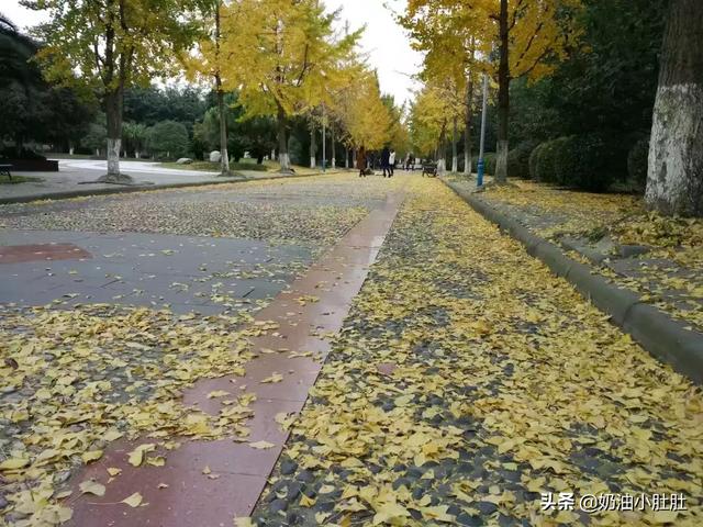 成都空气能热水器-成都空气能热水器厂家