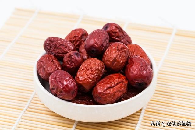 女人吃红枣还是黑枣好(图4)