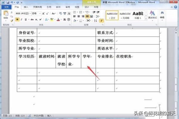 个人简历表格样本 简历表电子版免费