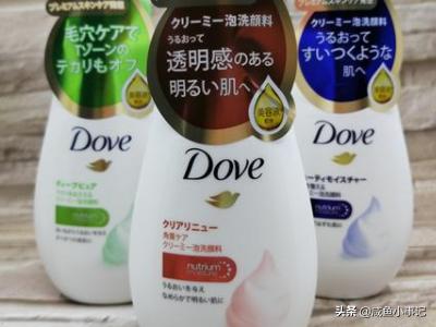 74c15c6596d04ad081ed39beb408fca8