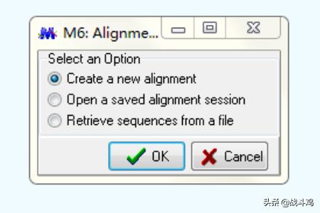 进化树的构建方法