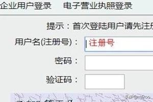 税收管理升级！山东国家税务网上办税平台让纳税更简单，山东税务网上办税平台439829841023512.010.457025921