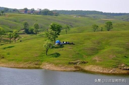 安徽草坪 （安徽草坪基地）