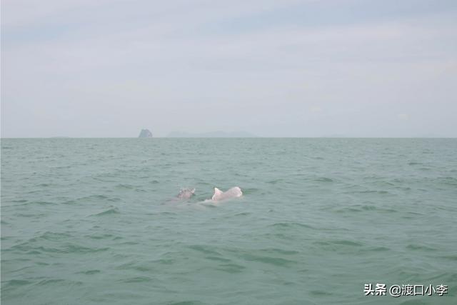 旅游景点大全泰国， 旅游景点大全泰国图片