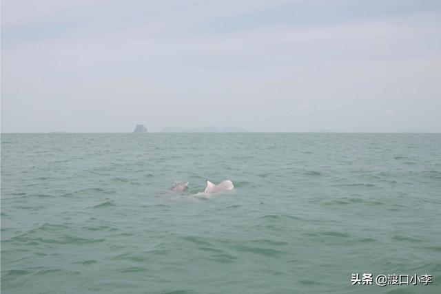 泰国出名旅游景点，泰国出名旅游景点有哪些